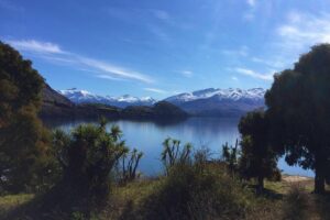 1-Hour Ruby Island Cruise and Walk - The catamaran ride on Lake Wanaka: comfort and quick photo angles