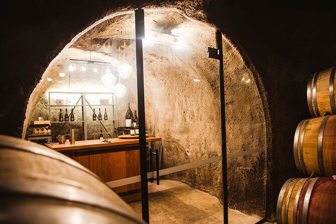 Award Winning Premium Wine Tour Queenstown Tasting at 4 Wineries - Price and value: what $164.45 covers (and why it’s not just the wine)