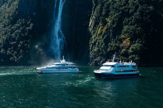 Cruise Milford NZ Small Boutique Cruise Experience - Price and value: what $111.08 buys you (and what it doesn’t)
