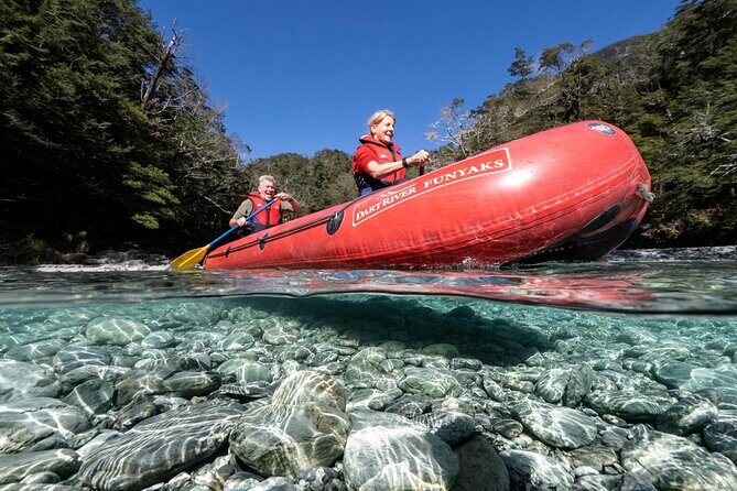Dart River Canoe and Jet Boat Experience from Queenstown - Key reasons this Dart River tour works