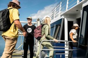Doubtful Sound Wilderness Cruise from Queenstown - Lake Manapouri and Wilmot Pass: big views without leaving the plan