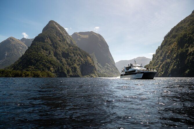 Doubtful Sound Wilderness Day Cruise from Manapouri - Key things I’d zero in on before you go