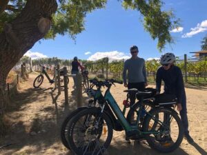 ebike tour lake Hawea river track to Wanaka - Getting there: the 15-minute Lake Hawea transfer and why timing matters