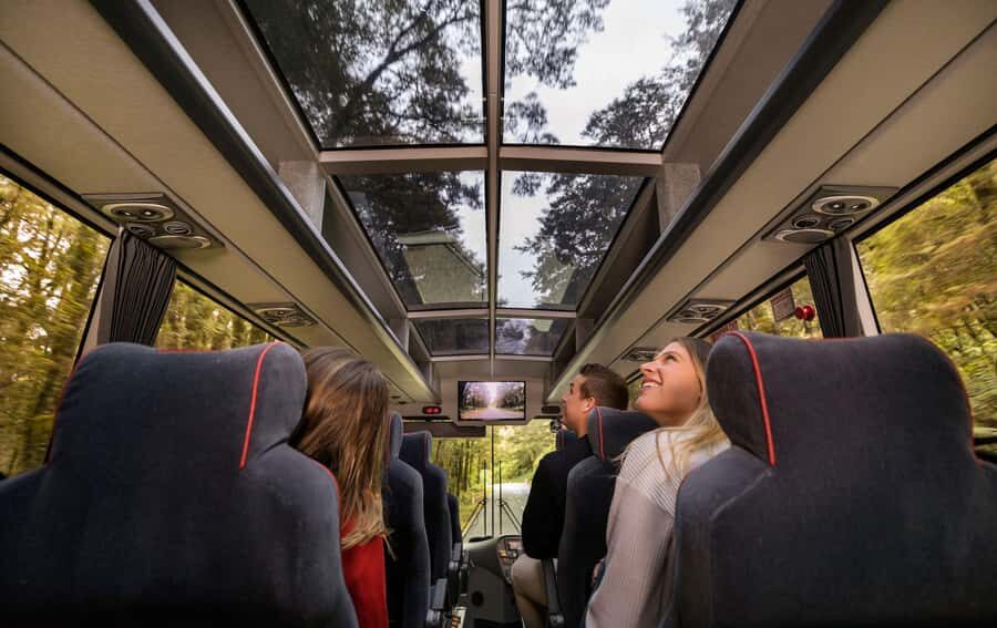 From Queenstown: Milford Sound Coach, Cruise, Scenic Flight - Why This Combo Works: Coach, Cruise, Flight in One Day