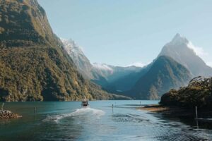 From Queenstown: Milford Sound Coach, Cruise, Scenic Flight - Milford Road Stops: Where the Day Starts to Pay Off