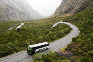 From Queenstown: Milford Sound Cruise and Coach Day Trip - The Glass-Roof Coach: Why Comfort Actually Matters Here