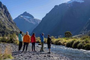 From Te Anau: Milford Sound Coach, Cruise, and Walks - The 2-hour Milford Sound cruise: small boat, big feeling