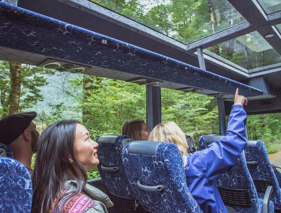 From Te Anau: Milford Sound Coach Tour and Cruise - Key Points You’ll Care About