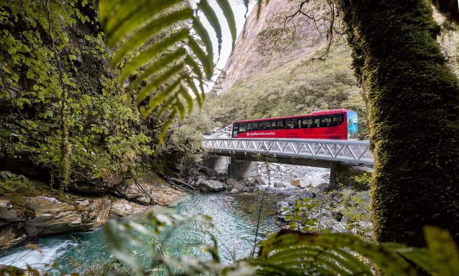 From Te Anau: Milford Sound Premium Bus Tour and Cruise - Weather and packing: make Milford Sound easier on yourself