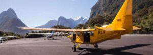 From Wanaka: Milford Sound Flight with Landing & Glaciers - The Flight In: Lake Wanaka, Mt. Aspiring, and 100+ Glaciers