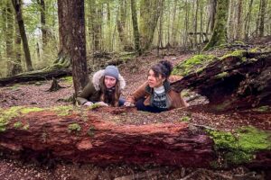 Full Day Lord of the Rings Mavora Lakes Adventure! - Mavora Lakes Park: the Fangorn Forest two-toe moment