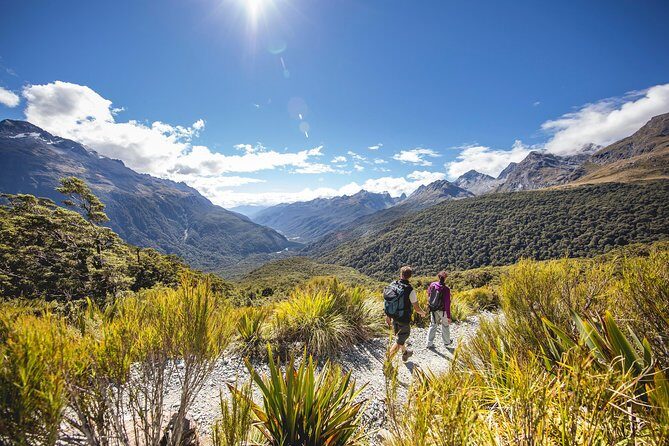 Full-Day Routeburn Track Key Summit Guided Walk from Te Anau - The descent back to the Divide: legs will feel it, even when the track is good