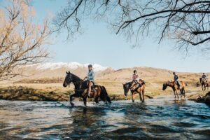 Gold Discovery Trail Horse Trek Cardrona - Most popular! - Beginner-friendly horse matching (and why it matters)