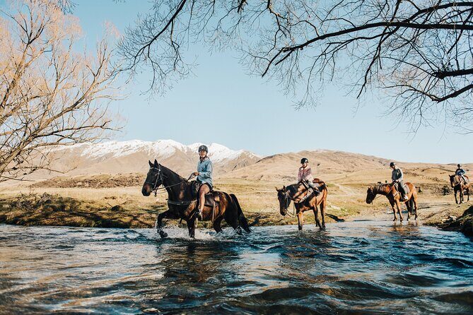 Gold Discovery Trail Horse Trek Cardrona - Most popular! - Beginner-friendly horse matching (and why it matters)