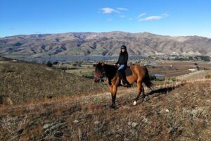 Golden Hills Horse Trek in Central Otago - Meeting in Cromwell: How to Set Yourself Up for an Easy Start
