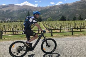 Guided eBike Wine Tour Ride to the Vines - Arrow Junction alpacas and goats: a quick break that feels real