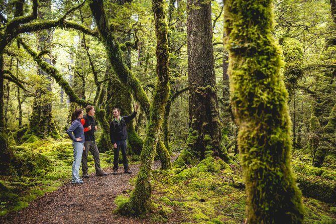 Guided Kepler Track Heli Hike - Stop 1: Lake Te Anau and the setting you’re hiking through