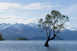 Lake Tekapo Private Day Trip from Queenstown - Lake Hayes and the Kawarau Suspension Bridge: start with reflections and thrills