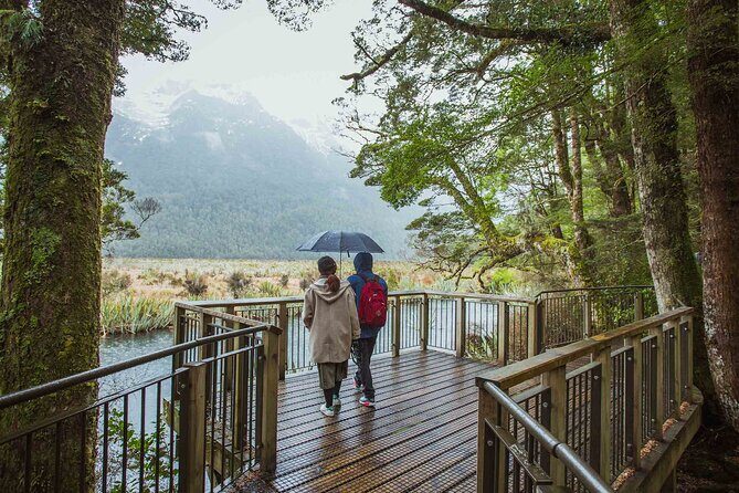 Milford Sound Coach and Cruise tour from Queenstown - Lunch and refreshments: what included food means in practice