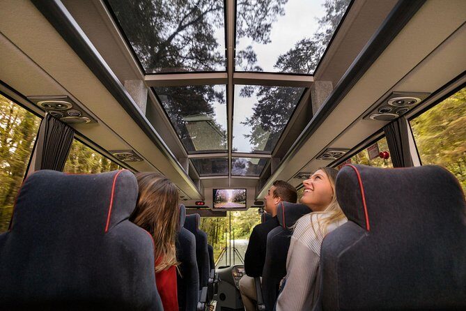 Milford Sound Coach & Cruise ex Te Anau Stunning Views with Lunch - Key highlights you’ll feel on the day