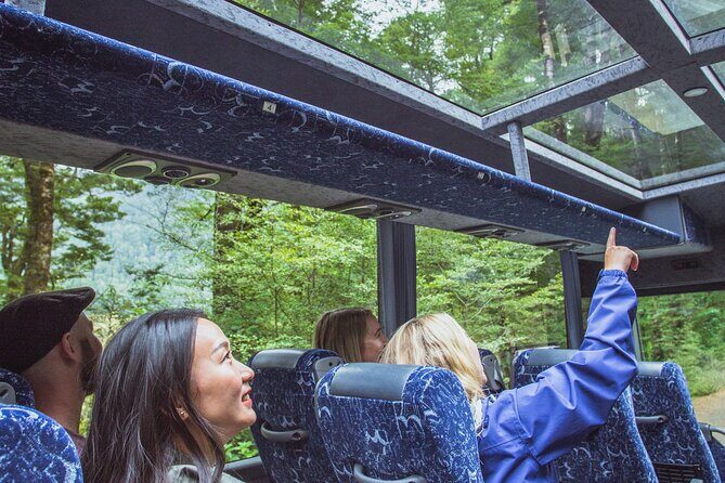 Milford Sound Coach & Cruise Tour from Te Anau - Kiwi Country stop: quick meet-up, quick reset