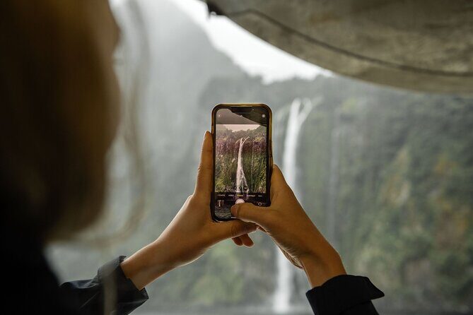 Milford Sound Cruise from Queenstown or Te Anau - Should You Book RealNZ’s Milford Sound Cruise?