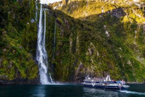 Milford Sound Cruise - RealNZ - The Real Logistics: Check-In Timing, Parking, and the Milford Road Reality