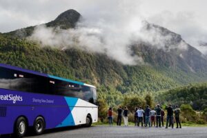Milford Sound Day Tour from Queenstown - Mirror Lakes: a short walk with that wow-you-can’t-plan-this moment