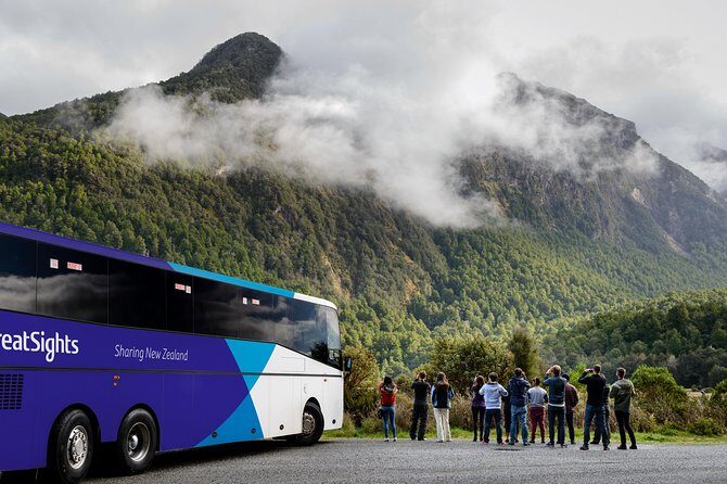 Milford Sound Day Tour from Queenstown - Mirror Lakes: a short walk with that wow-you-can’t-plan-this moment
