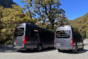 Milford Sound Full Day Tour from Te Anau with Cruise - Comfortable pickup and guided timing (the part that saves your day)