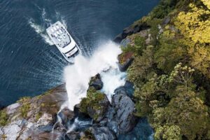 Milford Sound: Nature Cruise - Grand Views & Optional Lunch - Boat setup: top deck 360° vs indoor windows (your best strategy)