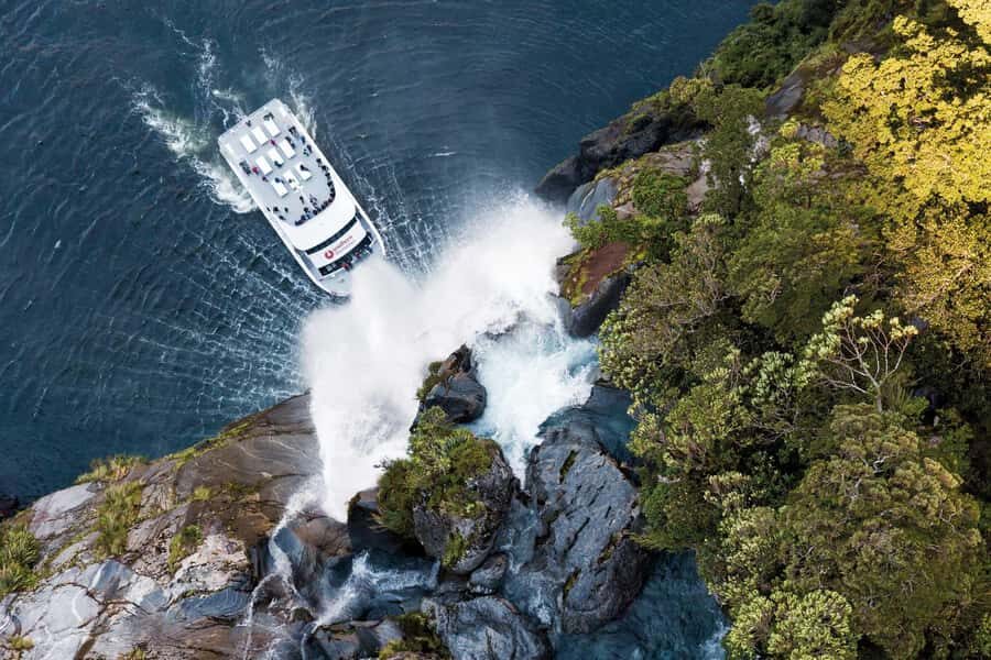 Milford Sound: Nature Cruise - Grand Views & Optional Lunch - Boat setup: top deck 360° vs indoor windows (your best strategy)