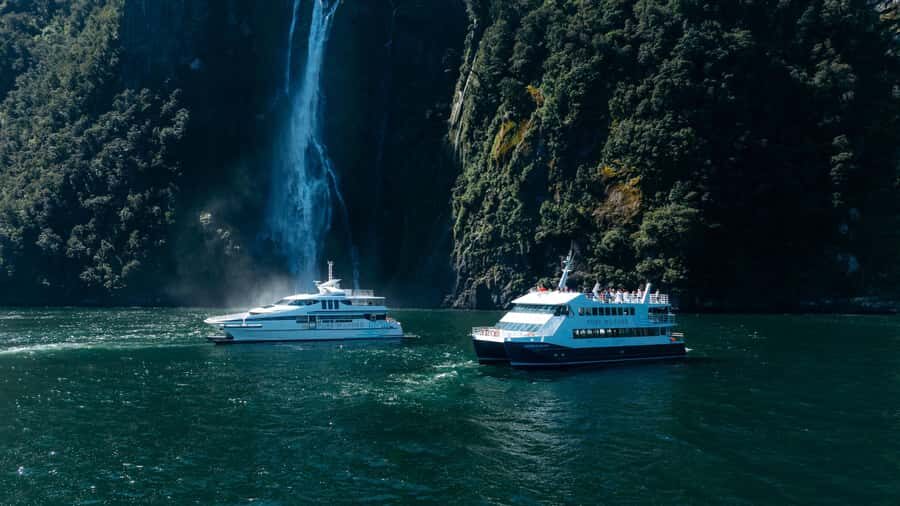 Milford Sound: Nature Cruise on a Modern Catamaran - Getting to Pure Milford and Boarding Without Stress
