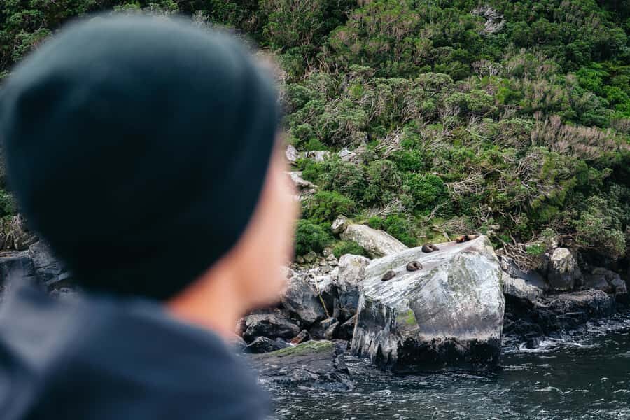 Milford Sound: Waterfalls, Wildlife, and Rainforest Cruise - Coffee, snacks, and where to stand for best views