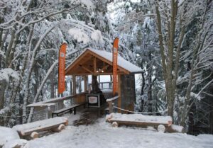 Queenstown: 2-Hour Zipline Tour with 4-Lines - Getting to Ziptrek Treehouse on Bob’s Peak (and why timing matters)