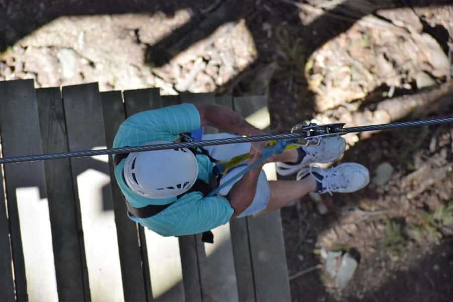 Queenstown: 2-Hour Zipline Tour with 4-Lines - Who this tour suits best (and who should pick a different day)