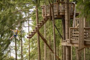 Queenstown: 3-Hour Zipline Adventure with 6-Lines - The six-line course: how the adventure ramps up