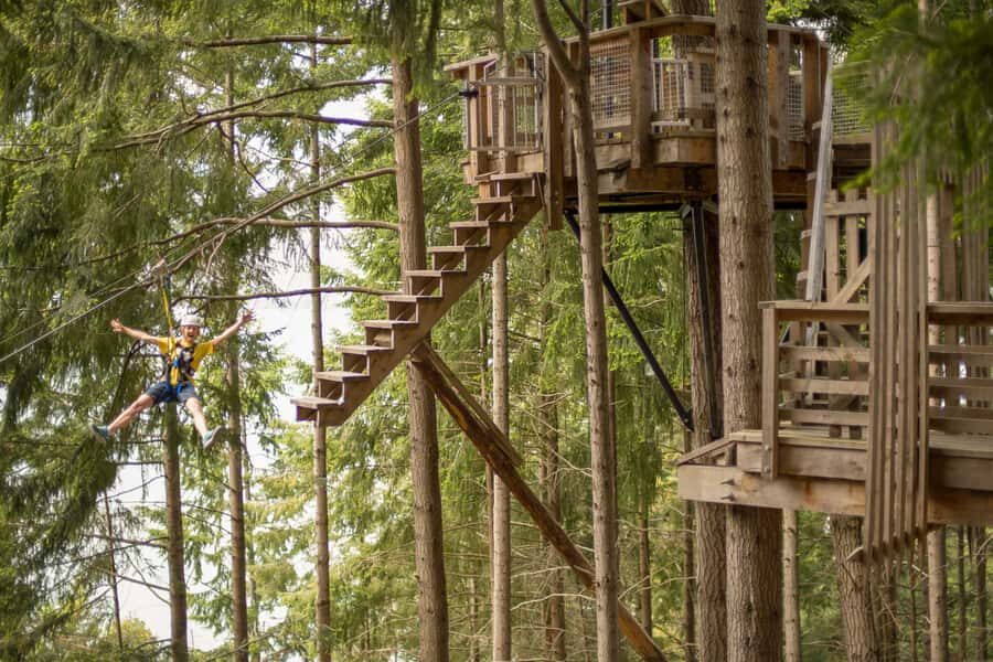 Queenstown: 3-Hour Zipline Adventure with 6-Lines - The six-line course: how the adventure ramps up