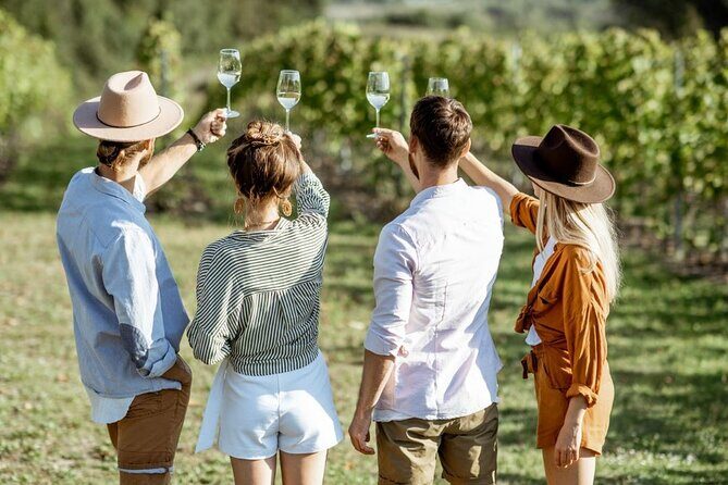 Queenstown Afternoon Wine Tour - Peregrine | Kinross | Amisfield - Key things to know before you go