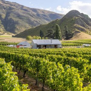 Queenstown, Arrowtown, Gibbston: Flexible Wine Hopper Tours - Queenstown Pickup at 12pm, Then a 6-Hour Wine Loop Back Into Town