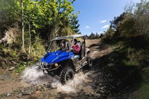 Queenstown Guided Self-Drive Buggy Tour - The 60 minutes of off-road driving: bush tracks, “bring sunglasses” views, and the real pace