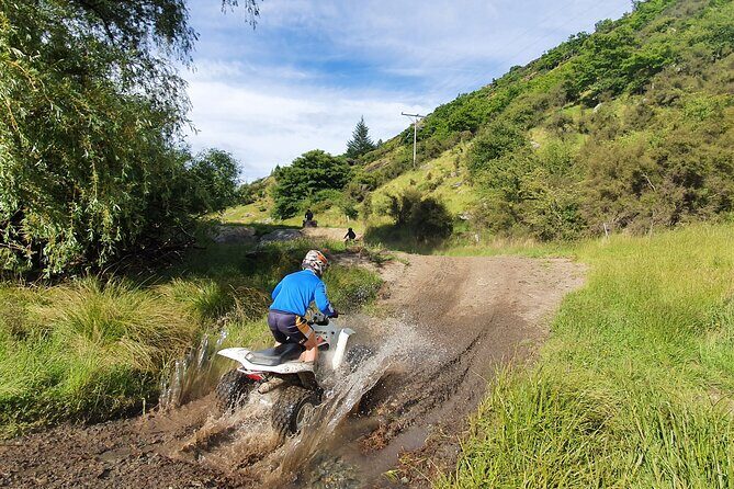 Queenstown Guided Self-Drive Buggy Tour - Price and value at $316.49 per group: what you really get