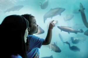 Queenstown: Hidden Underwater Theatre Experience - The Black Light Theatre Show: From 90 Million Years to Now