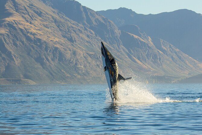 Queenstown Hydro Attack Shark Ride Adventure - Maneuvers: rolls, doughnuts, and the “how wild” part