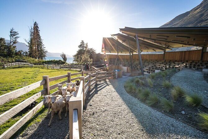 Queenstown Lake Cruise and Walter Peak Farm Adventure - Value for your money: why $83.78 can make sense