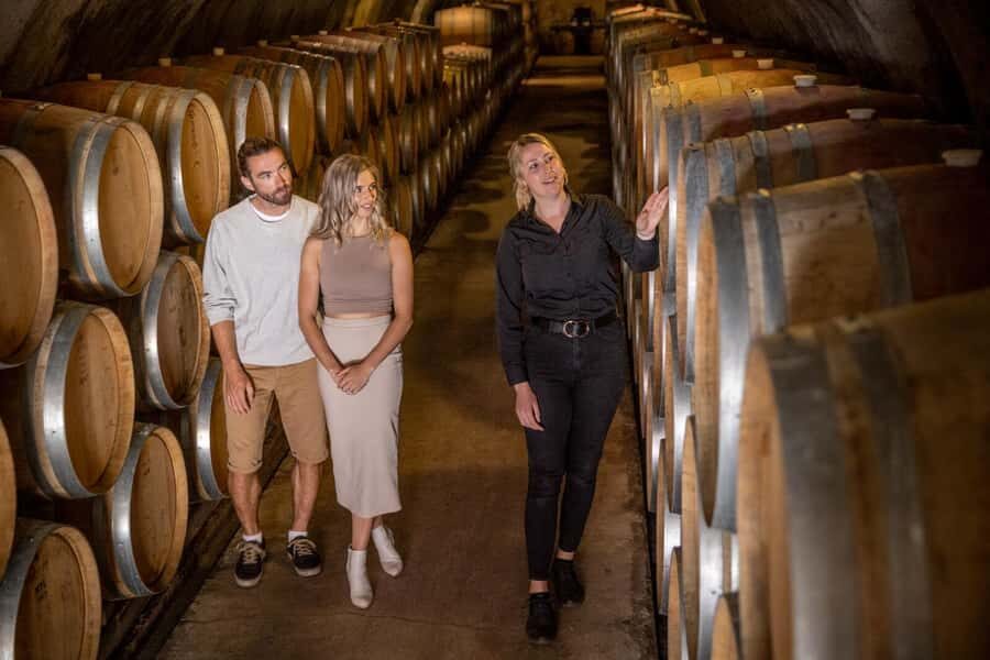 Queenstown: Original Premium Half-Day Gibbston Wine Tour - Should You Book Queenstown’s Original Premium Half-Day Gibbston Wine Tour?