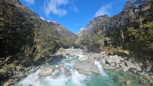 Queenstown: Routeburn Track Guided Full-Day Walk or Half Day - The Queenstown-to-Routeburn setup: your day starts with a drive