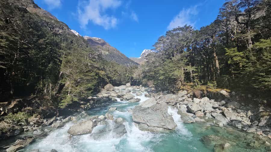 Queenstown: Routeburn Track Guided Full-Day Walk or Half Day - The Queenstown-to-Routeburn setup: your day starts with a drive