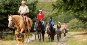 Queenstown: Walter Peak Horse Trek & Queenstown Lake Cruise - Walter Peak High Country Farm: where the ride actually happens