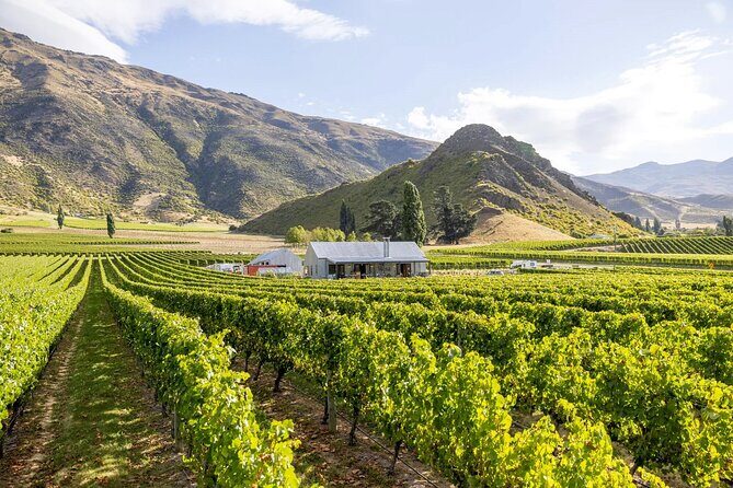 Queenstown Wine & Food Tour: Scenery, Tastings & Delicious Lunch! - The guides make the day: Claire, Clare, T, Te, Blake, and Andrew/Andy